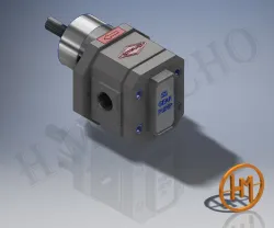 Servo Pump