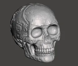 Skull, Human, Aztec or Mayan Skull, Head, Art