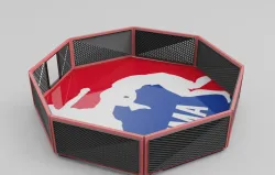 MMA Fighting Ring