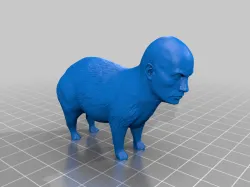 RockyBara - Capybara with Rock's Head
