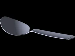 Spoon