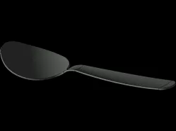 spoon