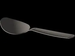 Spoon
