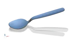 Spoon