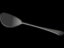 Spoon