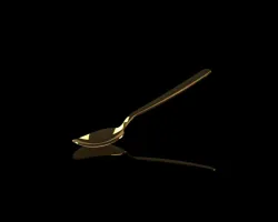Spoon