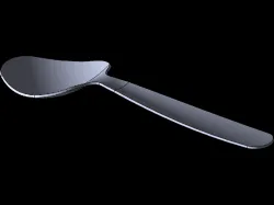SPOON