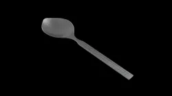 Spoon