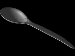 Spoon