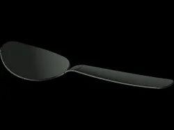 Spoon
