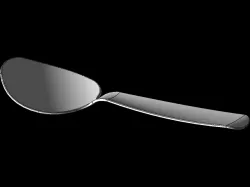 Spoon
