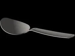 Spoon