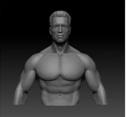 T 800