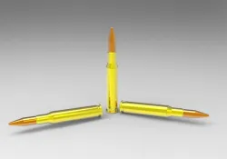 ammo