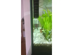 Aquarium Magnetic Scraper