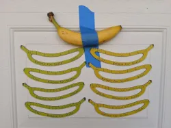 Banana For Scale