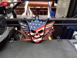 Cody Rhodes multicolour logo
