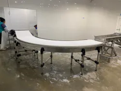 CURVED CONVEYOR
