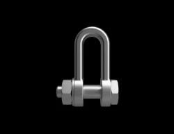 D Shackle Stainless