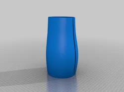 Shin Form