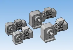 Worm gear motor