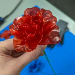 3D Printed Valentine's Rose