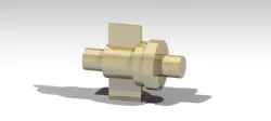 cottar joint