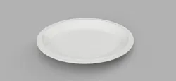 Dinner Plate 255mm