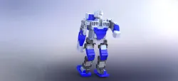 Humanoid robot CyboTD