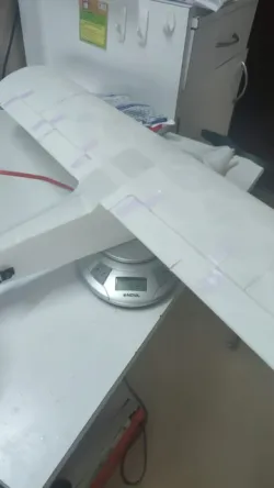 RC Carbon Cub