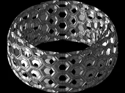 Toroid Ring