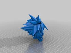 Vanitas Head