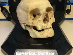 3D scanned Real Skull