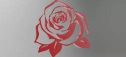 flower of the day