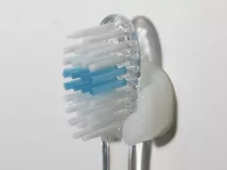 Single Toothbrush Holder