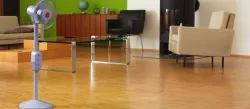 Stand Fan