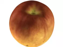 The Apple