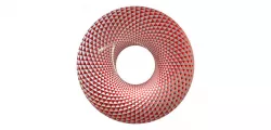 torus