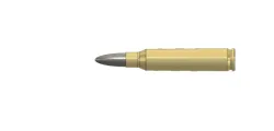 .223 Remington Bullet