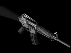 AR15