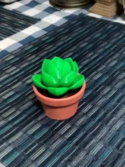 Fully Plastic Succulent