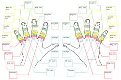 hand generator 3D Models | Page 1 | STLFinder