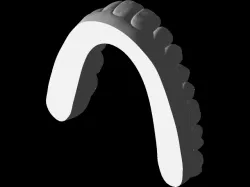 Tooth model