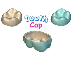 𝕋𝕠𝕠𝕥𝕙 ℂ𝕒𝕡