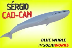 Blue Whale - Sérgio CAM CAD