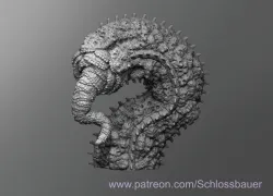 Chakota
