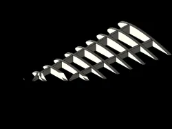 Plane Wing Skeleton