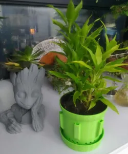 Plant Pot / Orchid Pot with drainage and ventilation
