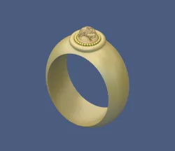 Simple Ring