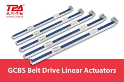 TPA GCBS Series Belt Linear Axis Double Slider Type